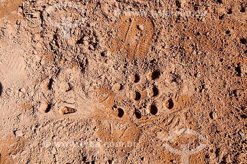  Subject: Footprint of football boots - ground field near to Corinthians Arena / Place: Itaquera neighborhood - Sao Paulo city - Sao Paulo state (SP) - Brazil / Date: 06/2014 