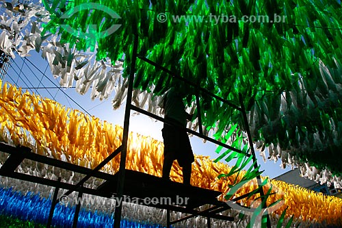  Subject: Fan decorating the Santa Isabel Street with the colors of Brazil for the World Cup / Place: Praca 14 de Janeiro neighborhood - Manaus city - Amazonas state (AM) - Brazil / Date: 06/2014 