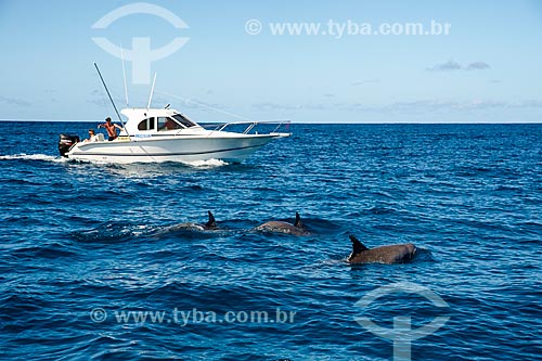  Subject: Dolphins approaching of boats on the coast of Mauritius / Place: Mauritius - Africa / Date: 11/2012 