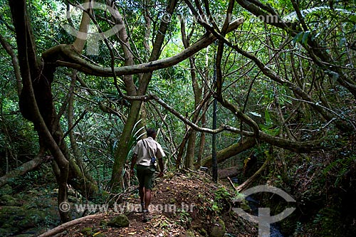  Subject: Forest trail - Bel Ombre village / Place: Savanne district - Mauritius - Africa / Date: 11/2012 