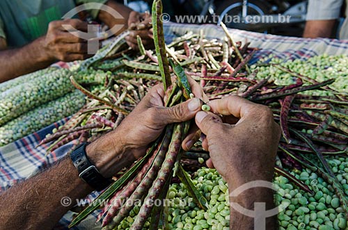  Subject: Green bean in Caico Market / Place: Caico city - Rio Grande do Norte state (RN) - Brazil / Date: 07/2012 