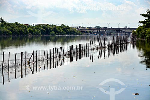 Subject: Cunha Channel - Protection fence - environmental Program of recovery of mangrove forest / Place: Rio de Janeiro city - Rio de Janeiro state (RJ) - Brazil / Date: 03/2014 