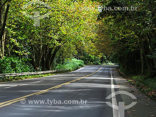  Subject: Road Romantic Route - BR-116 / Place: Morro Reuter city - Rio Grande do Sul state (RS) - Brazil / Date: 05/2014 