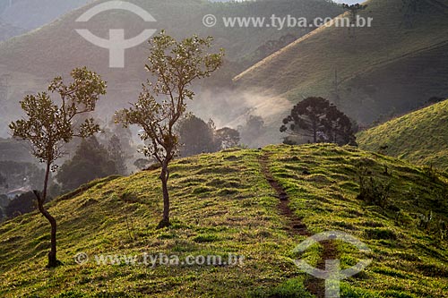  Subject: Track in the pasture / Place: Visconde de Maua district - Resende city - Rio de Janeiro state (RJ) - Brazil / Date: 06/2014 