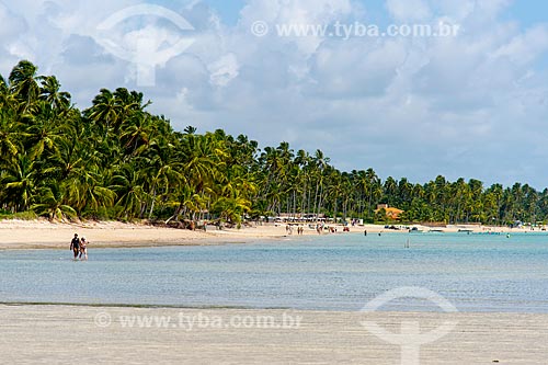  Subject: Coconut palms - Ponta de Mangue Beach / Place: Maragogi city - Alagoas state (AL) - Brazil / Date: 12/2013 