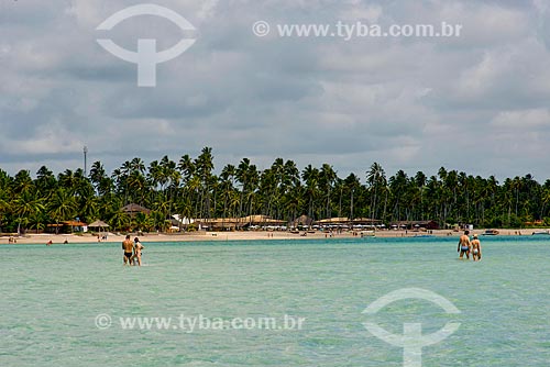  Subject: Coconut palms - Ponta de Mangue Beach / Place: Maragogi city - Alagoas state (AL) - Brazil / Date: 12/2013 