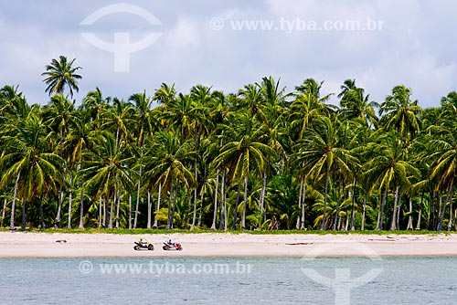  Subject: Sightseeing of buggies - Ponta de Mangue Beach / Place: Maragogi city - Alagoas state (AL) - Brazil / Date: 12/2013 