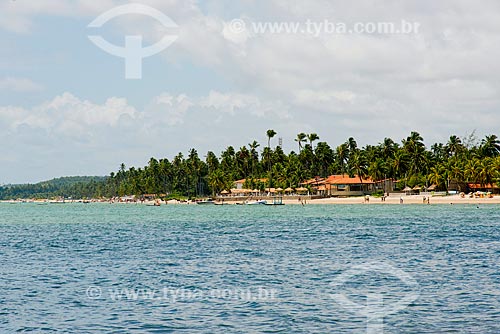  Subject: Coconut palms - Peroba Beach / Place: Maragogi city - Alagoas state (AL) - Brazil / Date: 12/2013 