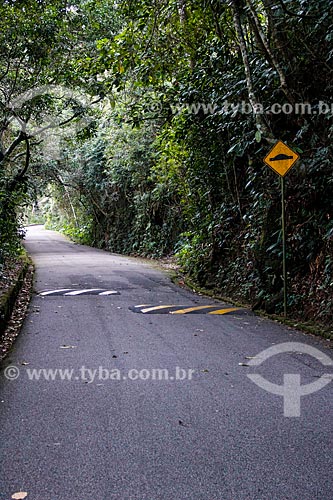  Subject: Road of Paineiras / Place: Rio de Janeiro city - Rio de Janeiro state (RJ) - Brazil / Date: 08/2014 