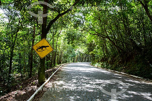  Sign indicating lizards crossing on PE-076 Road  - Sao Jose da Coroa Grande city - Pernambuco state (PE) - Brazil