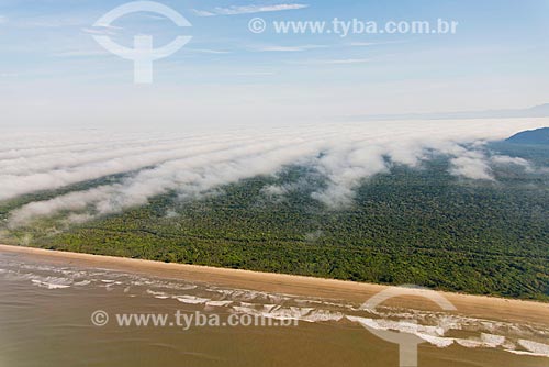  Jureia Beach -Jureia-Itatins Ecological Station  - Iguape city - Sao Paulo state (SP) - Brazil