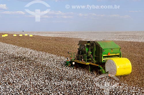  harvester with advanced technology for harvesting cotton  - Chapadao do Sul city - Mato Grosso do Sul state (MS) - Brazil