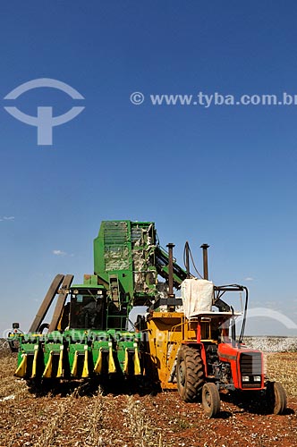  Harvester unloading cotton in the press  - Chapadao do Sul city - Mato Grosso do Sul state (MS) - Brazil