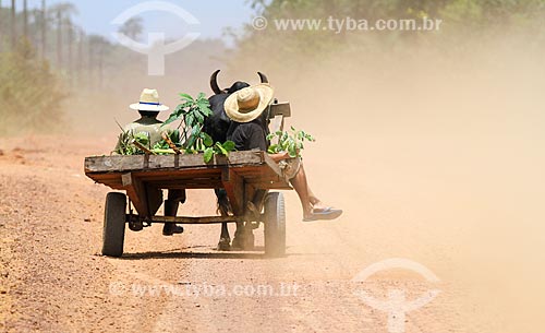  Farmers in the Km 25 of the BR-174 Road  - Manaus city - Amazonas state (AM) - Brazil