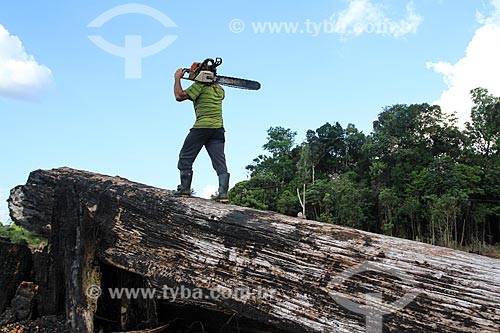  Man with chainsaw - BR-174 Road  - Manaus city - Amazonas state (AM) - Brazil