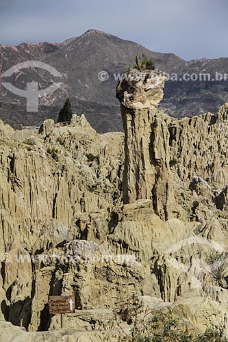  Geological formation known as Sombrero de la Dama (Ladies Hat) - Valle de la Luna (Moon Valley)  - La Paz city - La Paz department - Bolivia