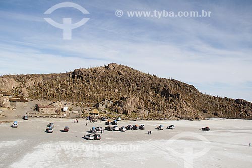 Isla Pescado (Fish Island) - also known as Isla Incahuasi  - Potosi department - Bolivia