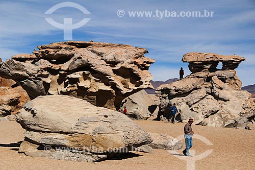  Rock formations - Siloli Desert  - Potosi department - Bolivia