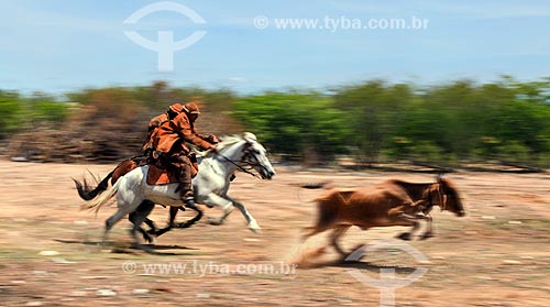  Horsemans - backwood of Pernambuco  - Serrita city - Pernambuco state (PE) - Brazil