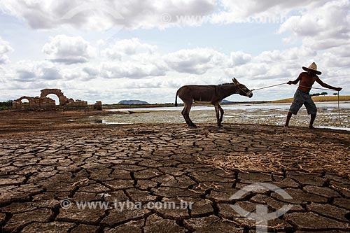  Man carrying the donkey in Cocorobo Dam during the dry season with the ruins of Santo Antonio Church ruins of Old Canudos in the background  - Canudos city - Bahia state (BA) - Brazil