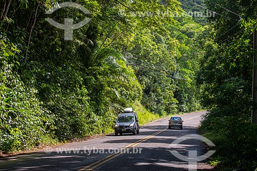  Cars - BA-001 highway  - Urucuca city - Bahia state (BA) - Brazil