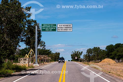  Car - CE-060 highway  - Barbalha city - Ceara state (CE) - Brazil