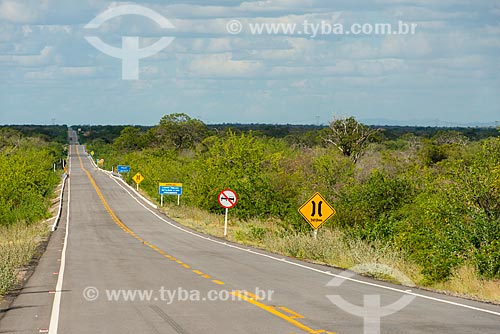  Signaling - PE-360 highway  - Floresta city - Pernambuco state (PE) - Brazil
