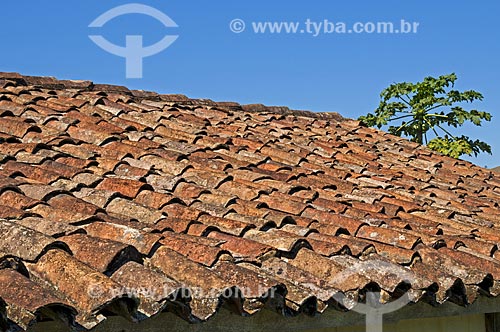  Tiles of baked clay of Santa Clara Farm - considered one of the largest farm in the XIX century  - Santa Rita de Jacutinga city - Minas Gerais state (MG) - Brazil