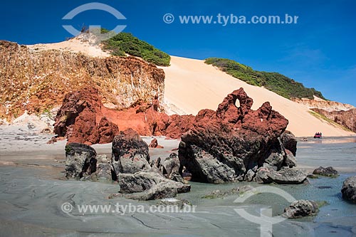  Dune - waterfront of Ponta Grossa Beach  - Icapui city - Ceara state (CE) - Brazil