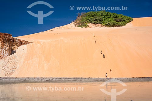  Dune - waterfront of Ponta Grossa Beach  - Icapui city - Ceara state (CE) - Brazil