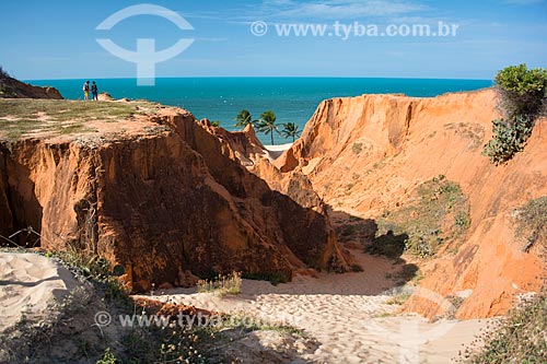  Natural Monument of Falesias of Beberibe with Morro Branco Beach in the background  - Beberibe city - Ceara state (CE) - Brazil