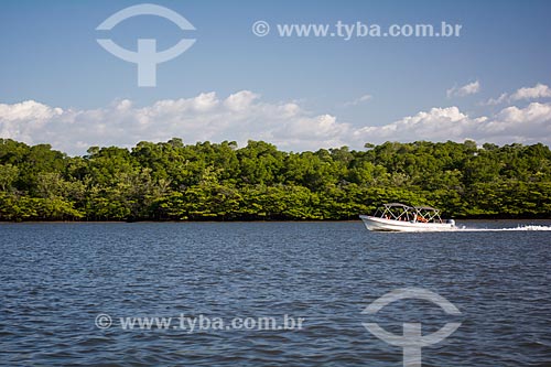  Detail of mangrove area in the Delta of Parnaiba  - Maranhao state (MA) - Brazil