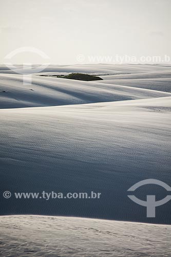  Dunes - Jericoacoara National Park  - Barreirinhas city - Maranhao state (MA) - Brazil