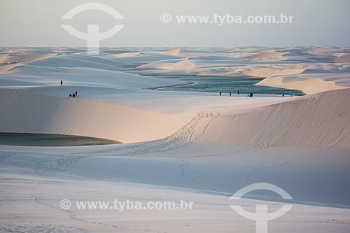  Dunes of Lencois Maranhenses National Park  - Barreirinhas city - Maranhao state (MA) - Brazil