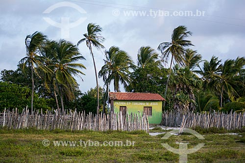  Santa Terezinha de Jesus Farm  - Santo Amaro do Maranhao city - Maranhao state (MA) - Brazil