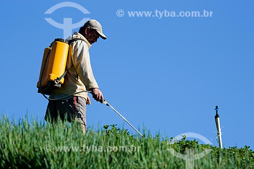  Man applying insecticide on planting without protective equipment  - Petropolis city - Rio de Janeiro state (RJ) - Brazil