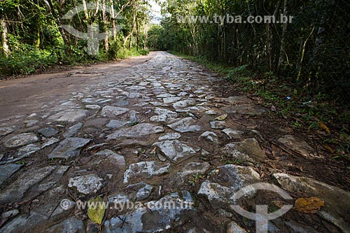  Road of commerce built in the 19th century - Tingua Biological Reserve  - Nova Iguacu city - Rio de Janeiro state (RJ) - Brazil