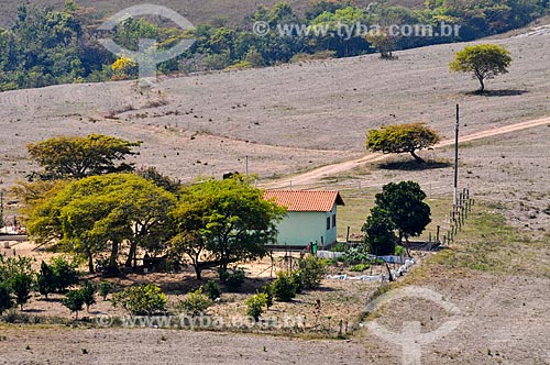  Rural landscape for a long period of drought  - Sacramento city - Minas Gerais state (MG) - Brazil