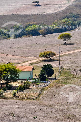  Rural landscape for a long period of drought  - Sacramento city - Minas Gerais state (MG) - Brazil