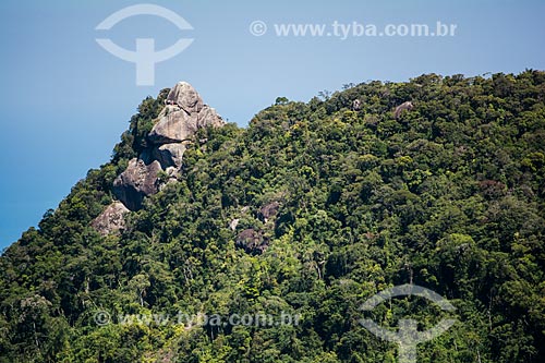  View of Bico do Papagaio Mountain - Tijuca National Park  - Rio de Janeiro city - Rio de Janeiro state (RJ) - Brazil