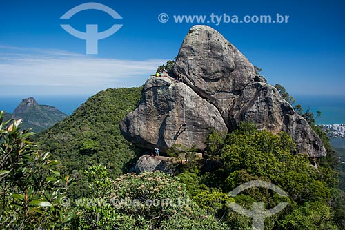  Rappel - Bico do Papagaio Mountain - Tijuca National Park  - Rio de Janeiro city - Rio de Janeiro state (RJ) - Brazil