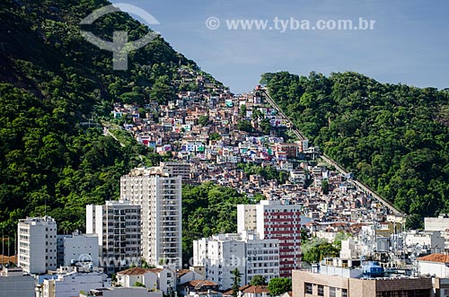  Buildings and Santa Marta Slum  - Rio de Janeiro city - Rio de Janeiro state (RJ) - Brazil