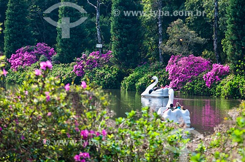  Paddle boats - Negro Lake during spring  - Gramado city - Rio Grande do Sul state (RS) - Brazil