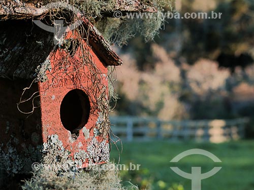  Bird house covered by mosses  - Sao Francisco de Paula city - Rio Grande do Sul state (RS) - Brazil