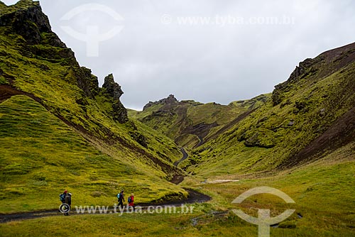  Trekking in the Vik í Mýrdal village region  - Southern Region - Iceland