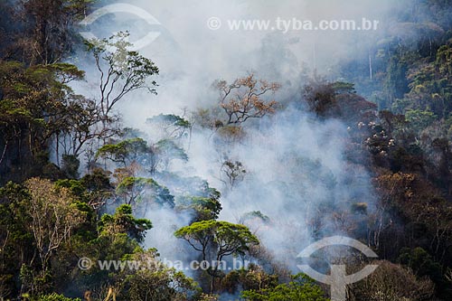  Burned - Bonfim Valley near to   - Petropolis city - Rio de Janeiro state (RJ) - Brazil