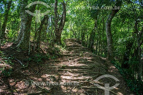  Track between the Vila do Abraao (Abraao Village) and the Palmas Bay  - Angra dos Reis city - Rio de Janeiro state (RJ) - Brazil