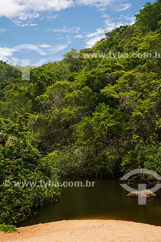  Mangrove near to Praia Grande de Palmas Beach  - Angra dos Reis city - Rio de Janeiro state (RJ) - Brazil