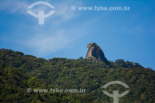  Detail of Papagaio Peak (Parrot Peak)  - Angra dos Reis city - Rio de Janeiro state (RJ) - Brazil