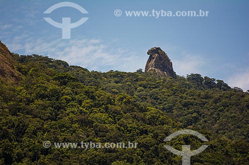  Detail of Papagaio Peak (Parrot Peak)  - Angra dos Reis city - Rio de Janeiro state (RJ) - Brazil